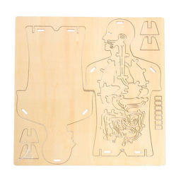 Набор для опытов Строение тела, 24 элемента - Эврики фото 3