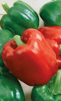 Перец ГЕРАКЛ Силён как мифический герой!