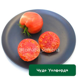 Чудо Уолфорда