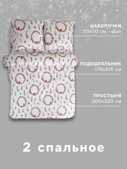 Постельное бельё 2-спальное Этель. Снегири (вид 2), поплин