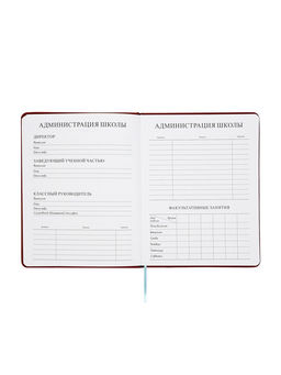 Дневник школьный 1-11 класс, ляссе, обложка искусственная кожа, с хлястиком, коричневый