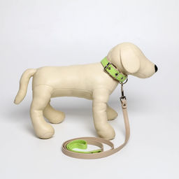 Комплект ошейник (58х2.5 см) и поводок (130х1.4 см) из экокожи, салатовый с бежевым - Пушистое счастье фото 6