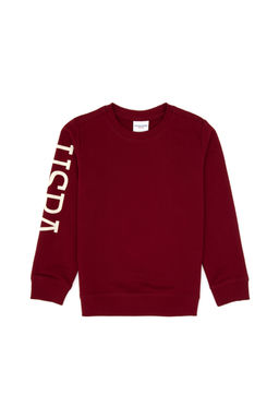 Erkek _ocuk Bordo Basic Sweatshirt Sepette S_rpriz _ndirim - U.s. polo assn фото 9