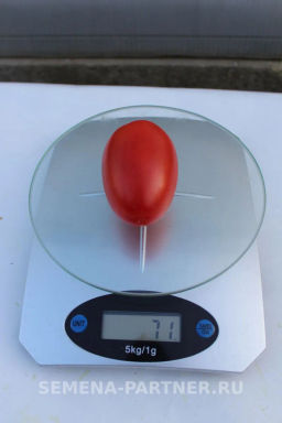 Томат Сан Сиро - Партнер фото 5