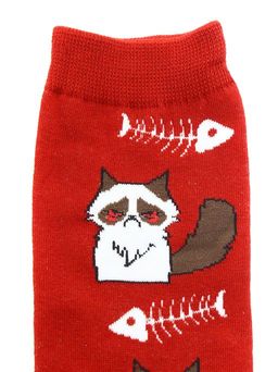 Носки р.35-40 Голодный Котик - Krumpy фото 3