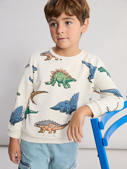 Erkek ?ocuk Dinozor Bask?l? Kal?n Sweatshirt