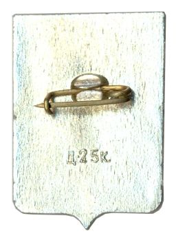 Значок Демянск