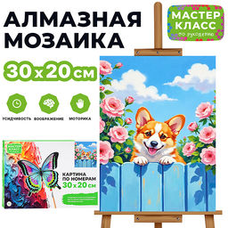 Картина по номерам "Корги" 30х20 см.