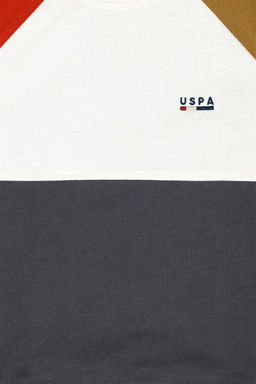 U. S. Polo Assn / Детский светлый свитшот цвета хаки с круглым вырезом - U.s. polo assn фото 6