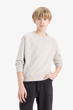Bisiklet Yaka Basic D_z Okul Sweatshirt Erkek _ocuk - Defacto фото 4