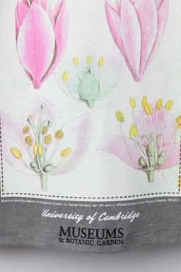 PRINTED T-SHIRT - Zara фото 4