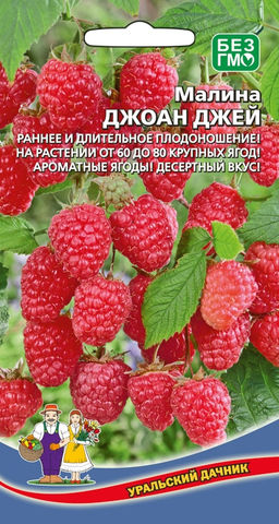 Малина ДЖОАН ДЖЕЙ  Раннее и длительное плодоношение! На растении до 80 крупных, ароматных, десертных ягод!