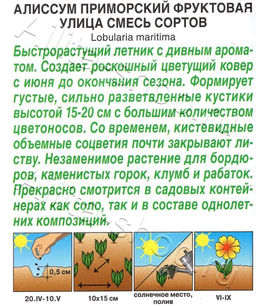 Алиссум Фруктовая улица (смесь сортов) 0,05г (Аэлита)