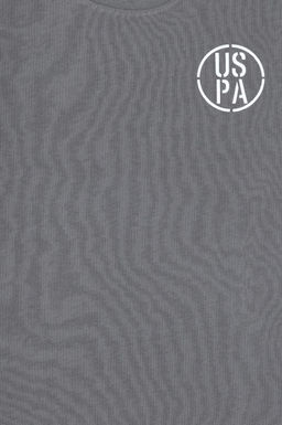 Футболка для мальчика серая Неожиданная скидка в корзине - U.s. polo assn фото 3