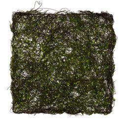 Blumentag MRB-67 Каркас флористический d. 39 см 3 см зеленый