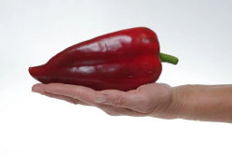 Перец сладкий Лакшери - Партнер фото 3