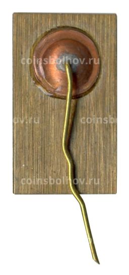 Значок Брест