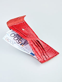 YS Портмоне Barez с кнопкой  фото 10