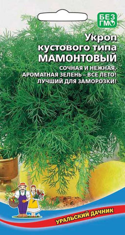 Укроп МАМОНТОВЫЙ  Кусты крупные, объёмные, пушистые и величественные! Яркий, крепкий, забористый аромат, не чита магазинным собратьям!