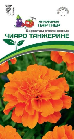 Бархатцы отклоненные Чиаро Танжерине - Партнер фото 2