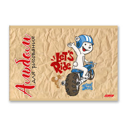 Светоч 8АЛСК4_1_3_9 Альбом для рисования 100 г/м2 A4 29 х 20.5 см 20 шт. на скобе 8 л. 000679 Райдер  фото 7