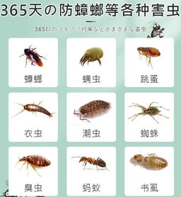 Японские ароматические саше с нафталином 12шт - Buro фото 5