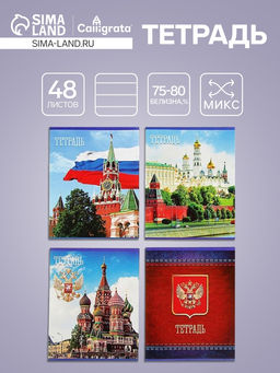 Тетрадь 48 листов в клетку Calligrata Россия, обложка мелованная бумага, блок №2, белизна 75% (серые листы), МИКС  фото 6