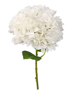Гортензия соцветие XL (без стебля) - Белый - Real touch фото 2