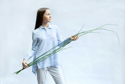 Хвощи пучок из 6шт, 180см - Зеленый