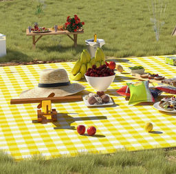 Складной коврик для пикника 95*140 см