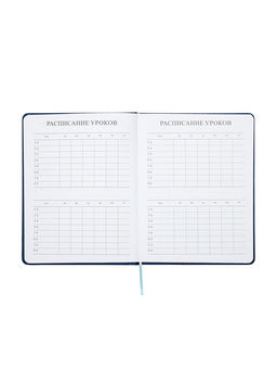 Дневник школьный «Рыцарь» 1-11 класс, ляссе, обложка искусственная кожа, синий