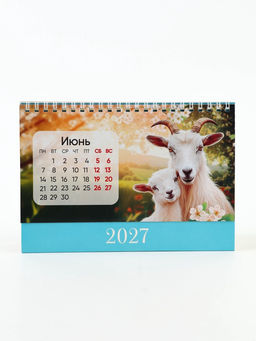 Цена за 2 шт. Календарь 2027 настольный, домик, 14×20 см