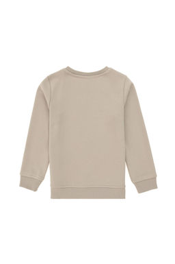 Толстовка с камнем для мальчика Неожиданная скидка в корзине - U.s. polo assn фото 3