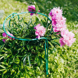 Кустодержатель, d=50 см, h=60 см, ножка d=1 см, металл, набор 2 шт., зелёный