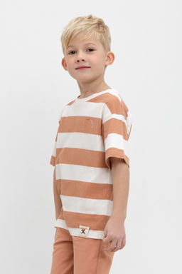 Crockid _ КР 302461/пробковое дерево,полоска к474 фуфайка для мал  фото 3