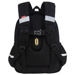 RAz-587-17 Рюкзак школьный - Grizzly фото 3