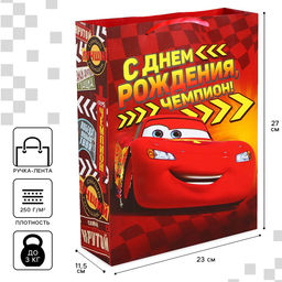 Пакет подарочный «С Днем рождения, чемпион!», 23×27×11.5 см