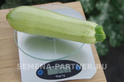 Кабачок Кавили - Партнер фото 3