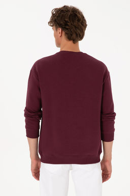 Erkek Bordo Basic Sweatshirt - U.s. polo assn фото 5