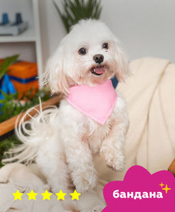 Бандана "Баден", розовая, размер S, ош18см-32см,арт.бан20S бан20S 11сд22