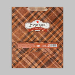 Цена за 2 шт. Пакет подарочный крафтовый, упаковка, Поздравляю от всей души!, ML 23?27?11.5 см