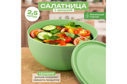 Салатница с крышкой 2,5 л 21*21*10,8 см светло-зеленый (модель 281)