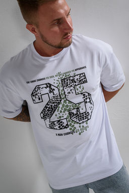 Футболка мужская 8507/1 оверсайз