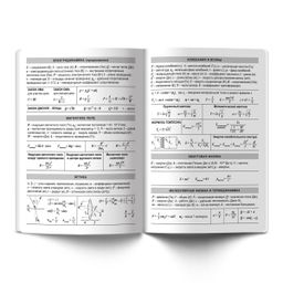 Светоч Тетрадь предметная School Life A5 40 л. на скобе 60 г/кв.м , белизна 100 % 10 шт. , клетка 40ТСК5_000109 Физика