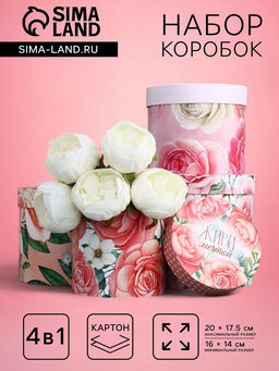 Набор шляпных коробок для цветов 4 в 1, упаковка подарочная, Нежность, 20?17.5 - 16?14 см