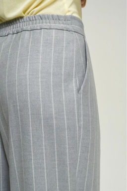 Брюки Basic на резинке в полоску Grey