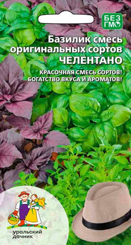 Базилик ЧЕЛЕНТАНО