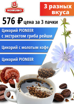 Набор из 3 видов цикория PIONEER