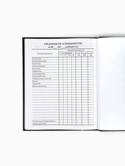 Дневник школьный 1-4 класса, в твердой обложке, 48 л Аниме комикс - Artfox study фото 7