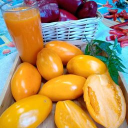 Томат ОЛЕСЯ Мякоть нежная с бархатистым вкусом абрикос- манго! Не пожалеете! - Уральский дачник фото 2